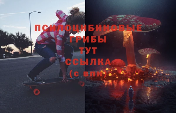 дмт Алексин